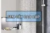 Sen tắm cây sự lựa chọn hoàn hảo cho gia đình bạn