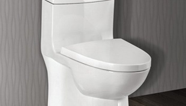 C503 -Ấn tượng ngay từ cái nhìn đầu tiên.