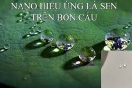 Nano Hiệu Ứng Lá Sen có tác dụng trong thời gian bao lâu?