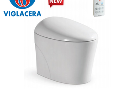 Bồn Cầu Điện Tử Thông Minh Viglacera Tại Nam Định