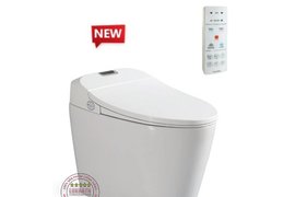 Bồn Cầu Điện Tử Thông Minh Viglacera Tại An Giang