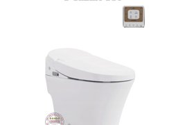 Bồn Cầu Điện Tử Thông Minh Viglacera Tại Vũng Tàu