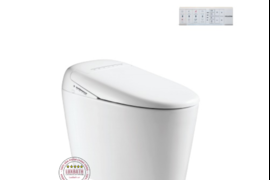 Bồn Cầu Điện Tử Thông Minh Viglacera Tại Bắc Giang