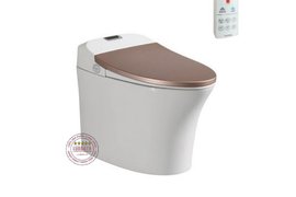 Bồn Cầu Điện Tử Thông Minh Viglacera Tại Bắc Ninh