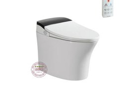 Bồn Cầu Điện Tử Thông Minh Viglacera Tại Bến Tre