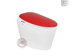 Bồn Cầu Điện Tử Thông Minh Viglacera Tại Bình Định