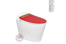 Bồn Cầu Điện Tử Thông Minh Viglacera Tại Bình Dương