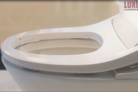 Bồn Cầu Điện Tử Thông Minh Viglacera Tại Phú Thọ