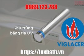 Bồn Cầu Điện Tử Thông Minh Viglacera Tại Cầu Giấy, Hà Nội