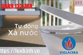 Bồn Cầu Điện Tử Thông Minh Viglacera Tại Đống Đa, Hà Nội