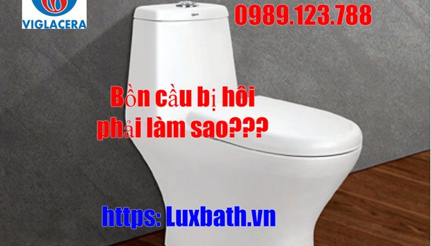 Nguyên nhân bồn cầu bị hôi và những điều bạn chưa biết