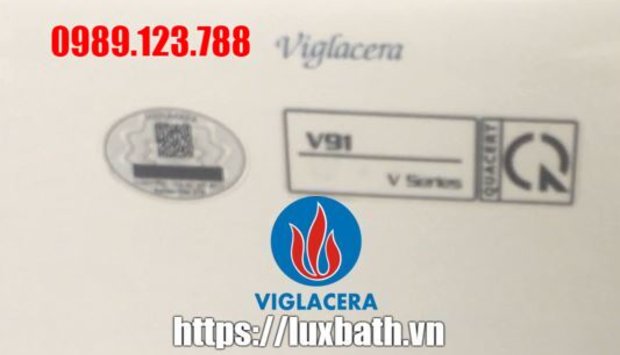 Bồn Cầu Điện Tử Thông Minh Viglacera Tại Mỹ Đức, Hà Nội
