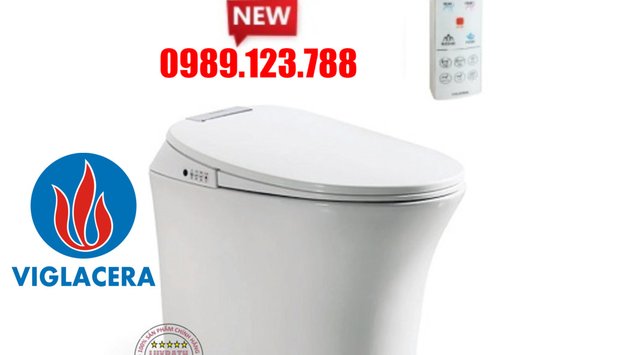 Bồn Cầu Điện Tử Thông Minh Viglacera Tại Ứng Hòa, Hà Nội