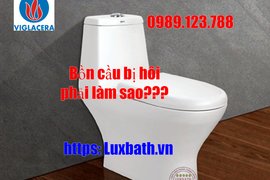 Nguyên nhân bồn cầu bị hôi và những điều bạn chưa biết