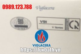 Bồn Cầu Điện Tử Thông Minh Viglacera Tại Mỹ Đức, Hà Nội