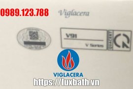 Bồn Cầu Điện Tử Thông Minh Viglacera Tại Phú Xuyên, Hà Nội