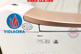 Bồn Cầu Điện Tử Thông Minh Viglacera Tại Thanh Oai, Hà Nội