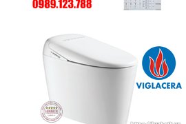 Bồn Cầu Điện Tử Thông Minh Viglacera Tại Thanh Trì, Hà Nội