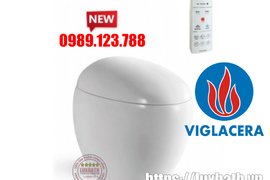 Bồn Cầu Điện Tử Thông Minh Viglacera Tại Thường Tín, Hà Nội