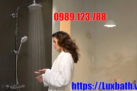 Ưu Điểm Vượt Trội Của Sen Tắm Cây Viglacera