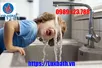 Mẫu Vòi Rửa Bát Viglacera Chính Hãng Giá Rẻ Tại Luxbath