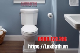 Top Mẫu Bệt Inax 2 Khối Bán Nhất Chạy Đầu Năm 2020 Không Thể Bỏ Qua