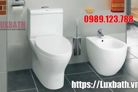 Bồn Cầu 1 Khối Viglacera V45 Tại Sao Lại Được Ưa Chuộng Nhất Năm 2019?