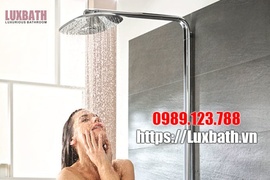 Sen cây Tắm đứng Viglacera Chính Hãng Giá Rẻ tại Hà Nội 