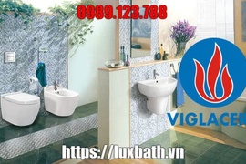 Đại Lý Thiết Bị Vệ Sinh Viglacera Uy Tín Tại Quận 1 Hồ Chí Minh