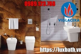 Đại Lý Thiết Bị Vệ Sinh Viglacera Giá Rẻ Tại Quận 5 Hồ Chí Minh