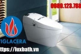 Đại Lý Thiết Bị Vệ Sinh Viglacera Tại Huyện Bình Chánh, Hồ Chí Minh