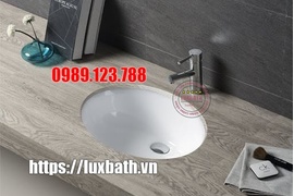 Lựa Chọn Vòi Rửa Mặt Viglacera Cho Chậu Bàn Đá 