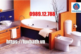 Đại lý thiết bị vệ sinh Viglacera chính hãng tại Quận Hai Bà Trưng 