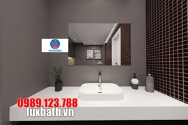 Chậu Rửa Mặt Bàn Đá Viglacera Có Mấy Loại? 