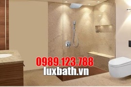 Ưu Nhược Điểm Bồn Cầu Âm Tường Viglacera 