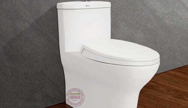 Khi Nào Cần Thay Bồn Cầu Mới Cho Gia Đình Bạn