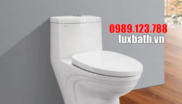 Bồn Cầu V39 Viglacera Giúp Bạn Hoàn Thiện Ngôi Nhà Đón Xuân 