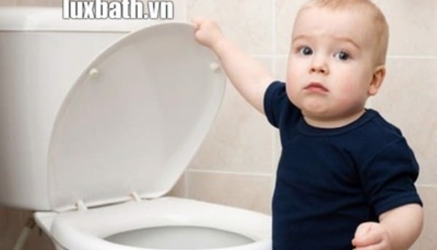 Cách Thay Thế Nắp Bồn Cầu Viglacera Đơn Giản Tại Nhà 