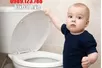 Cách Thay Thế Nắp Bồn Cầu Viglacera Đơn Giản Tại Nhà 