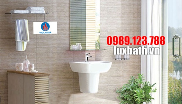 Lý Do Bạn Nên Mua Vòi Rửa Mặt Viglacera Chính Hãng