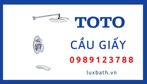 Cửa Hàng Thiết Bị Vệ Sinh Toto Chính Hãng Tại Cầu Giấy, Hà Nội