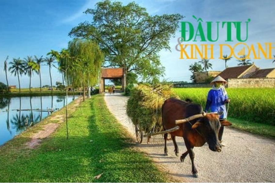 Luxbath lấy cảm hứng từ cuộc sống nông thôn