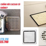Phễu thoát nước chống hôi Caesar có tốt không?