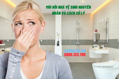 Mùi hôi nhà vệ sinh nguyên nhân và cách xử lý