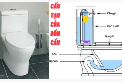 Cấu tạo của bồn cầu và nguyên lý hoạt động của bồn cầu 