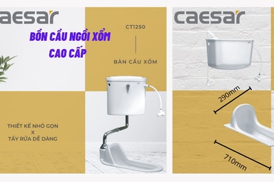 Bồn cầu ngồi xổm cao cấp Caesar phù hợp công trình công cộng