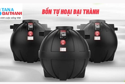 Bồn tự hoại Đại Thành độ bền vượt trội cho mọi nhà