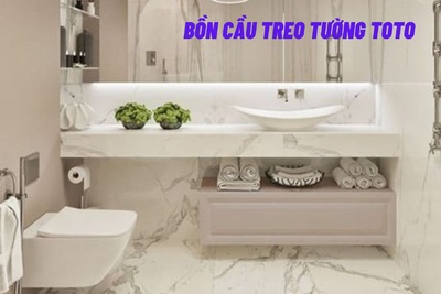 Ưu điểm nổi bật của bồn cầu treo tường TOTO
