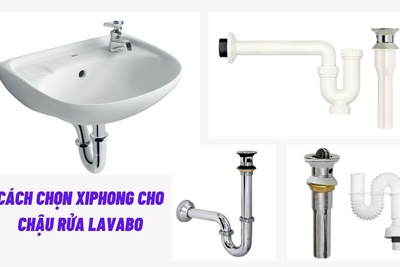 Cách chọn xiphong cho chậu rửa Lavabo