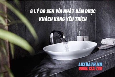 6 Lý Do Sen Vòi Nhật Bản Được Khách Hàng Yêu Thích